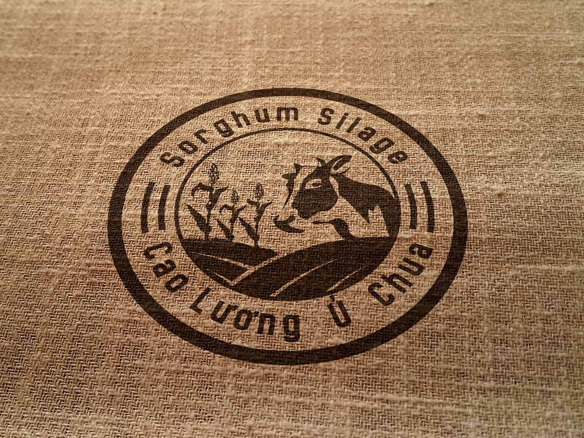 Đồ chơi gỗ - Xâu vòng trang sức đồng hồ