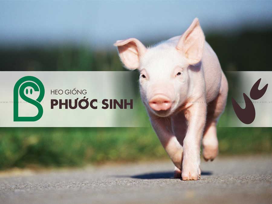 Đồ chơi gỗ - Xâu vòng trang sức đồng hồ