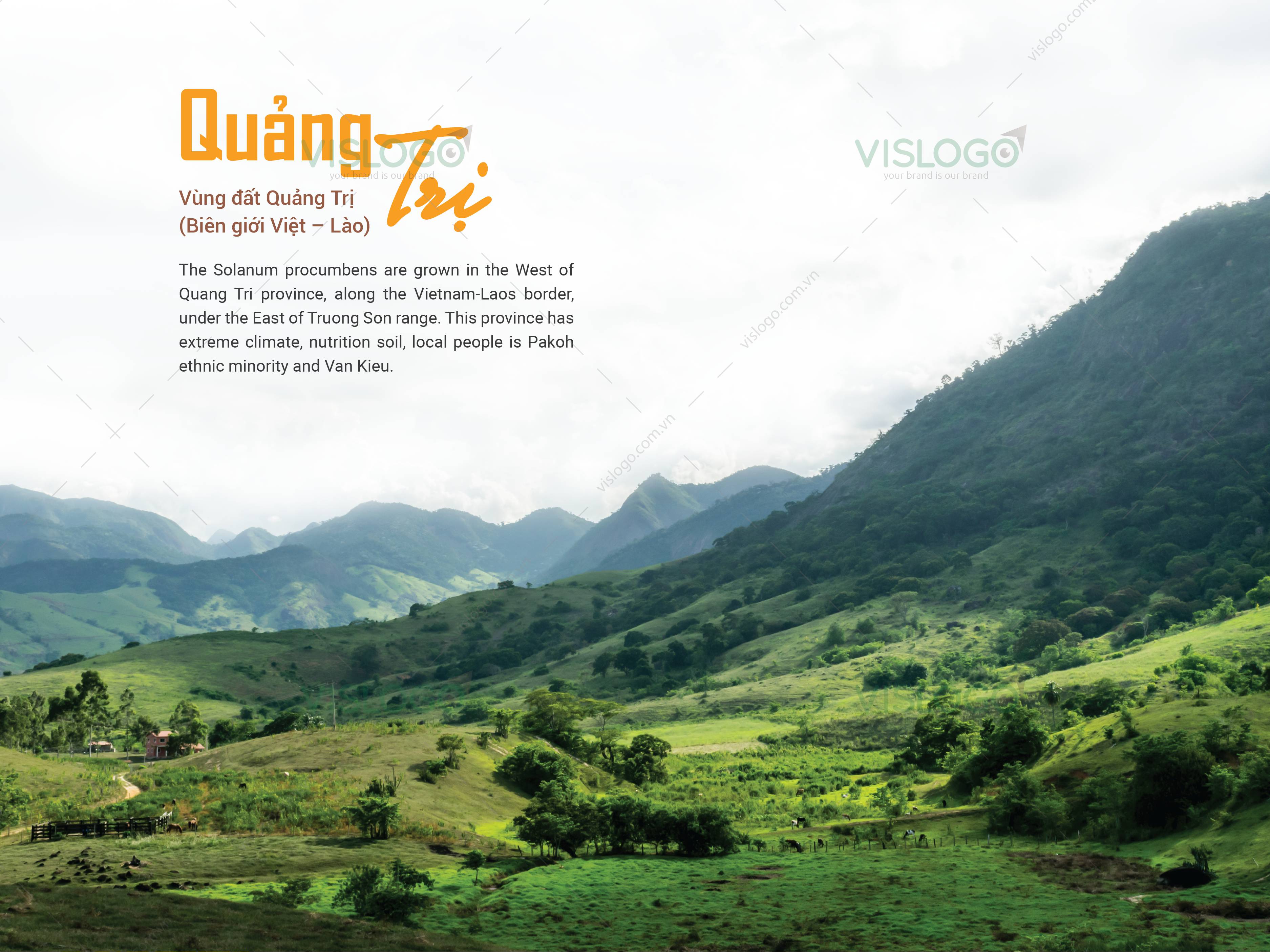 Thiết kế BROCHURE GIẢI ĐỘC GAN Huệ Đà